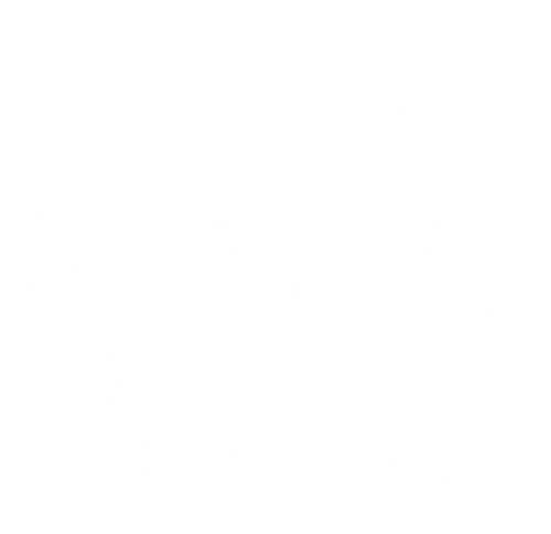 UpNorthAirgunner